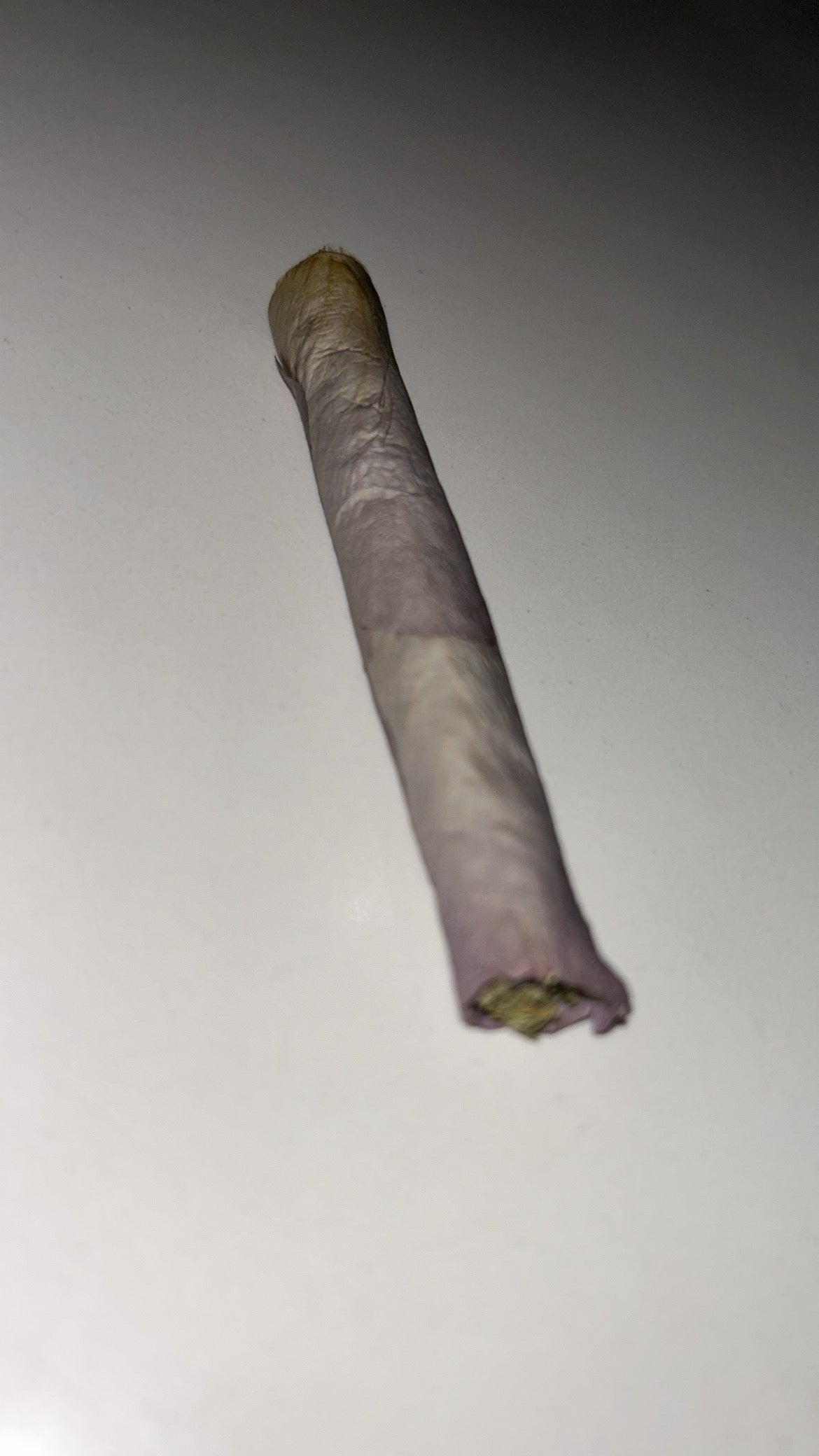 Lavender rose wrap with a white background.