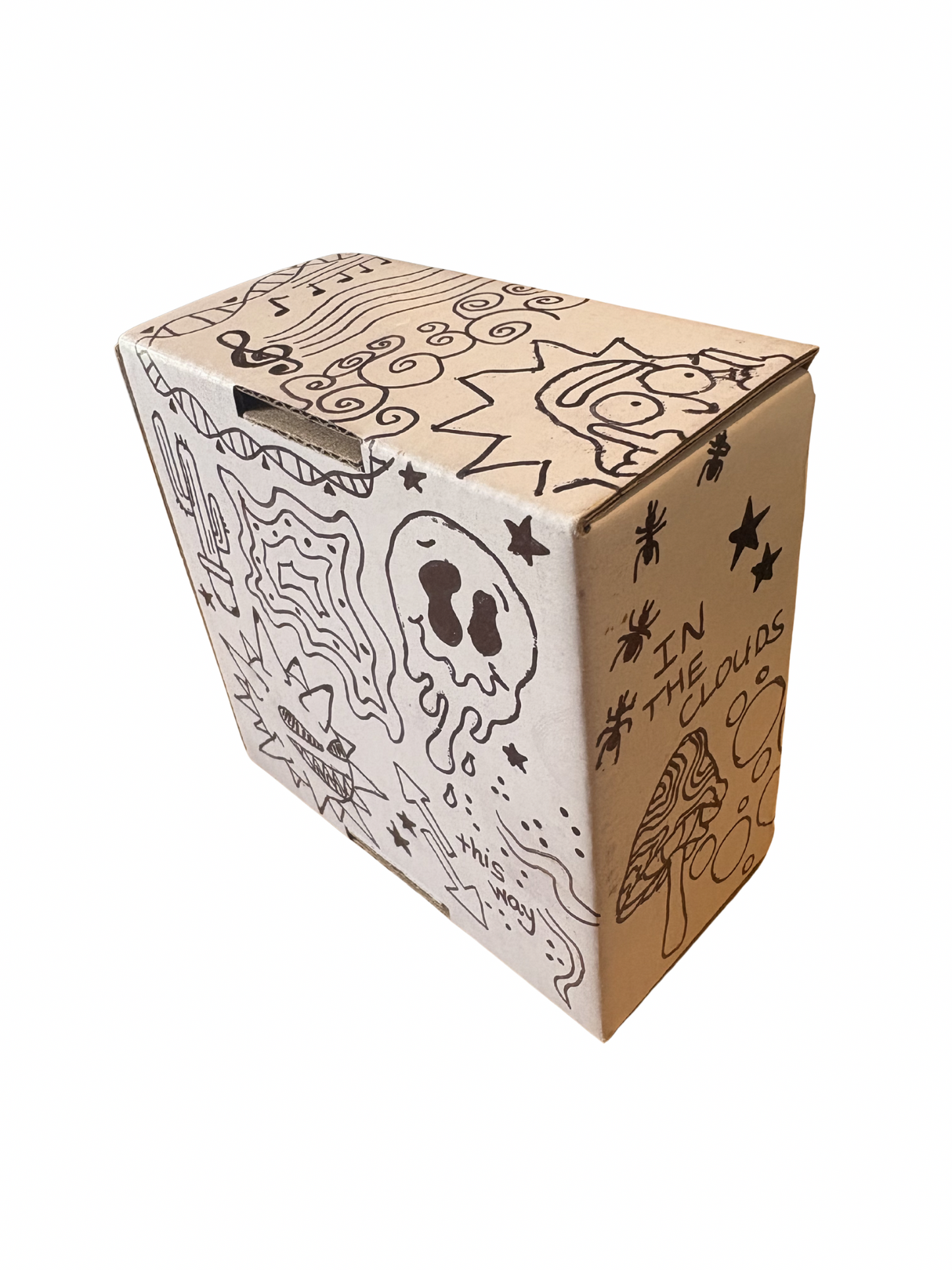 Trippy Box Custom Edition Mini