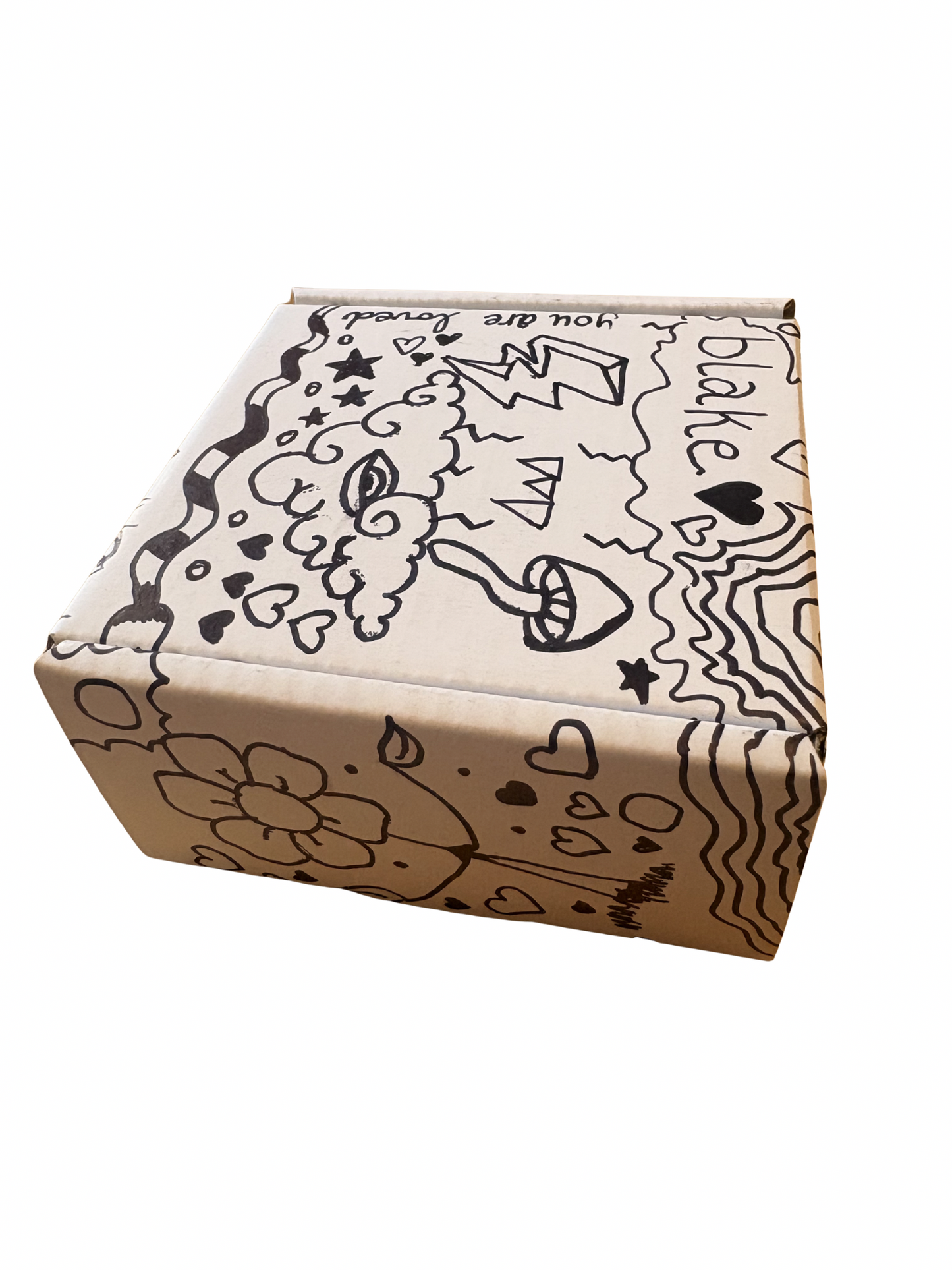 Trippy Box Custom Edition Mini